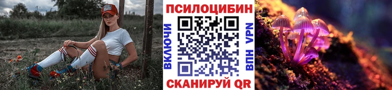 Купить где  Старая Купавна  Галлюциногенные грибы Magic Shrooms 